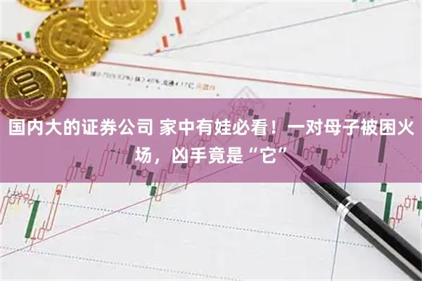 国内大的证券公司 家中有娃必看！一对母子被困火场，凶手竟是“它”