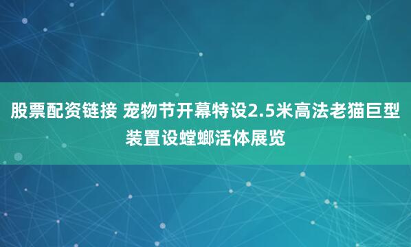 股票配资链接 宠物节开幕特设2.5米高法老猫巨型装置　设螳螂活体展览
