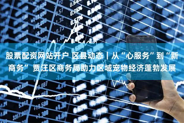 股票配资网站开户 区县动态｜从“心服务”到“新商务” 贾汪区商务局助力区域宠物经济蓬勃发展